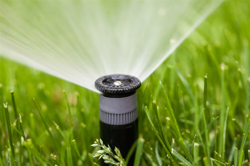 Your team at Hermes Landscaping will be happy to help you with choosing the right 2-wire sprinkler system for your building.